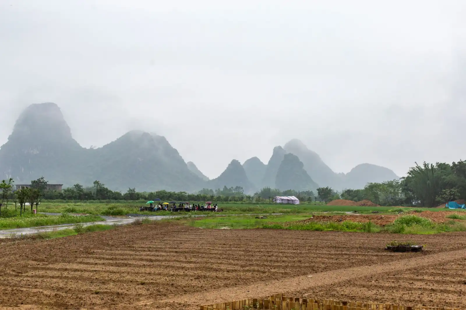 云南企业品牌视觉系统建设观察：VI设计与包装创意的协同落地路径