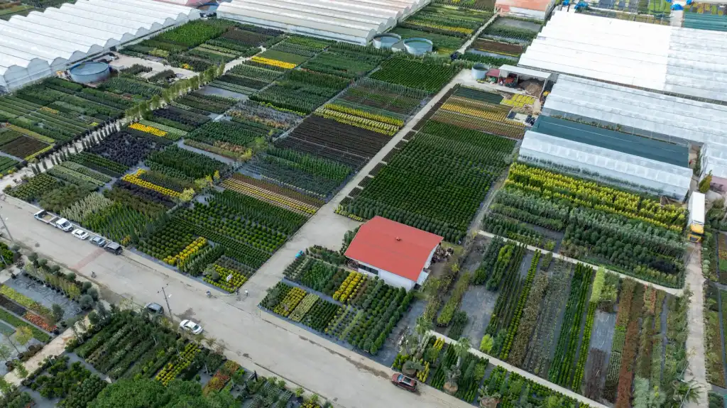 昆明企业品牌VI设计如何建立统一且有辨识度的视觉系统