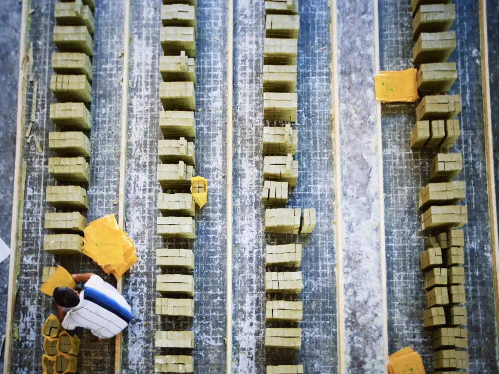 焙图金弦标志设计与VI视觉系统融合方案：提升品牌辨识度的关键