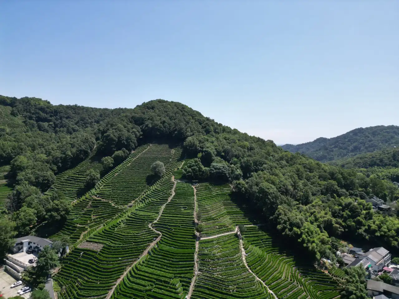 云南品牌视觉系统建设的关键流程与设计质量控制要点