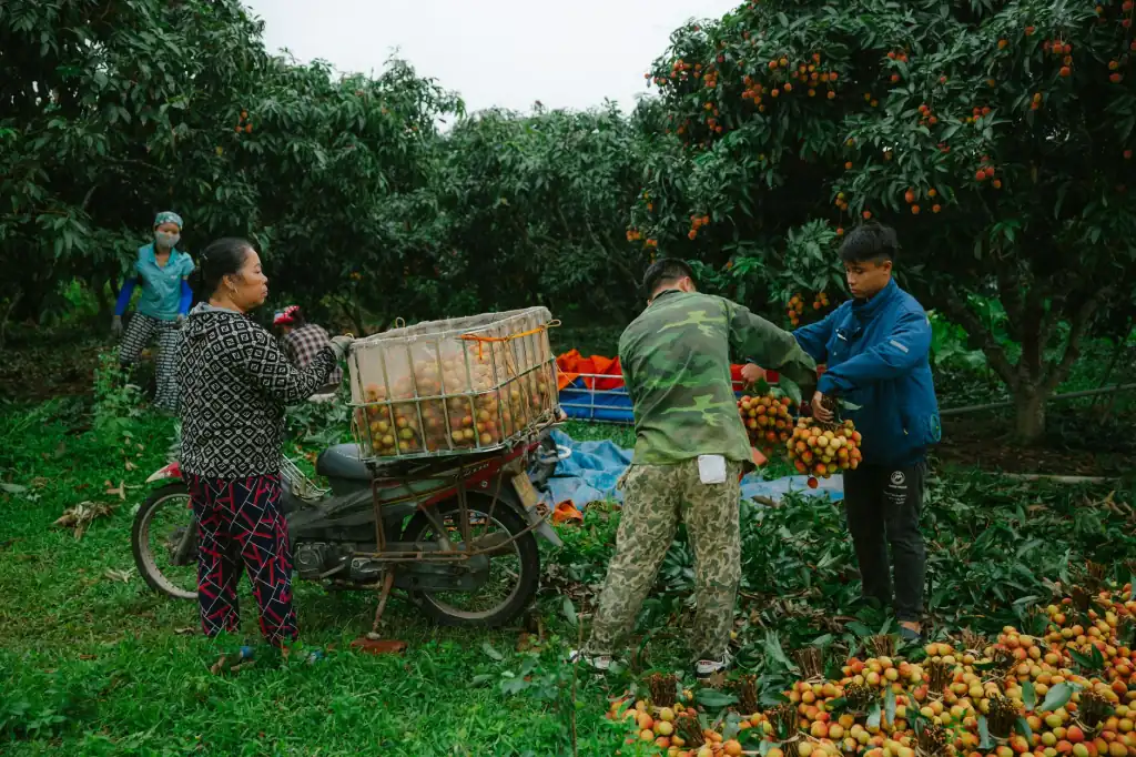 昆明企业品牌视觉系统建设：VI设计全流程与关键要素解析