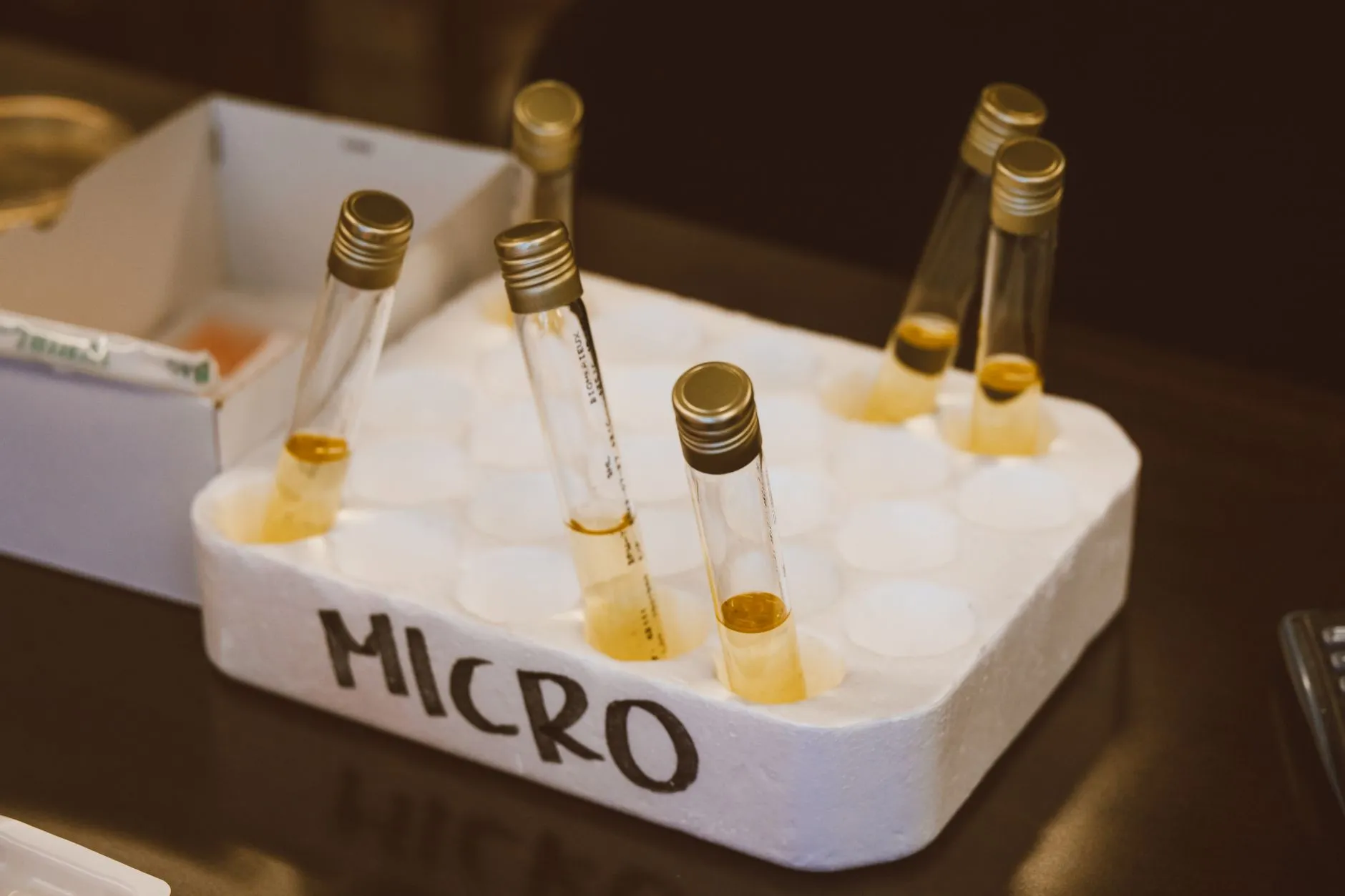 云南品牌视觉系统建设中的VI设计应用趋势与实操要点