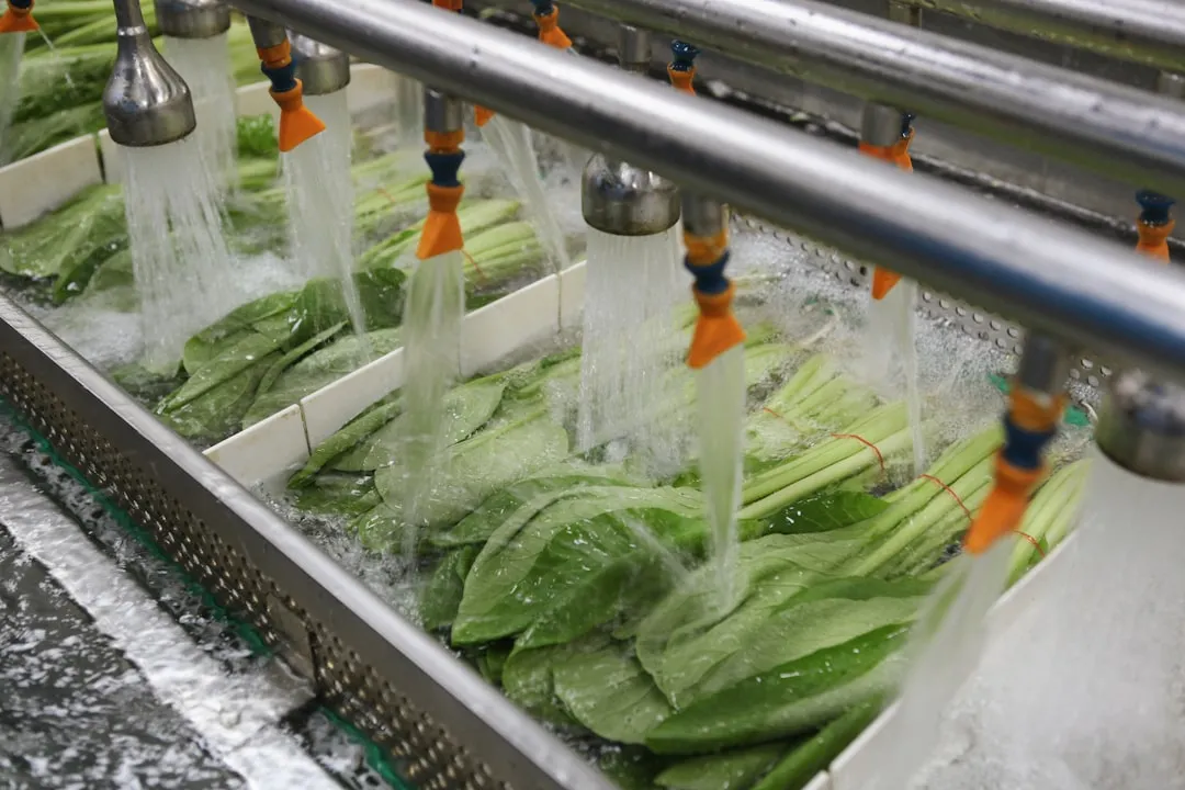 云南食品品牌如何通过VI视觉设计提升终端辨识度